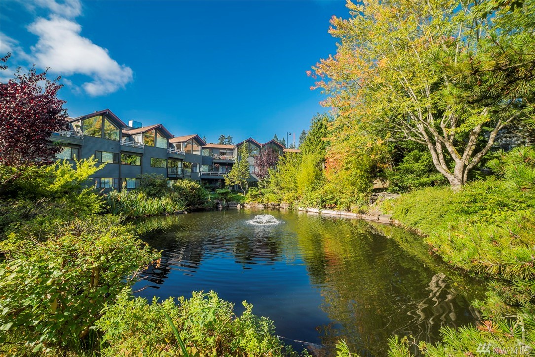 Echo Cove Condo, Shoreline WA Condos & Homes For Sale