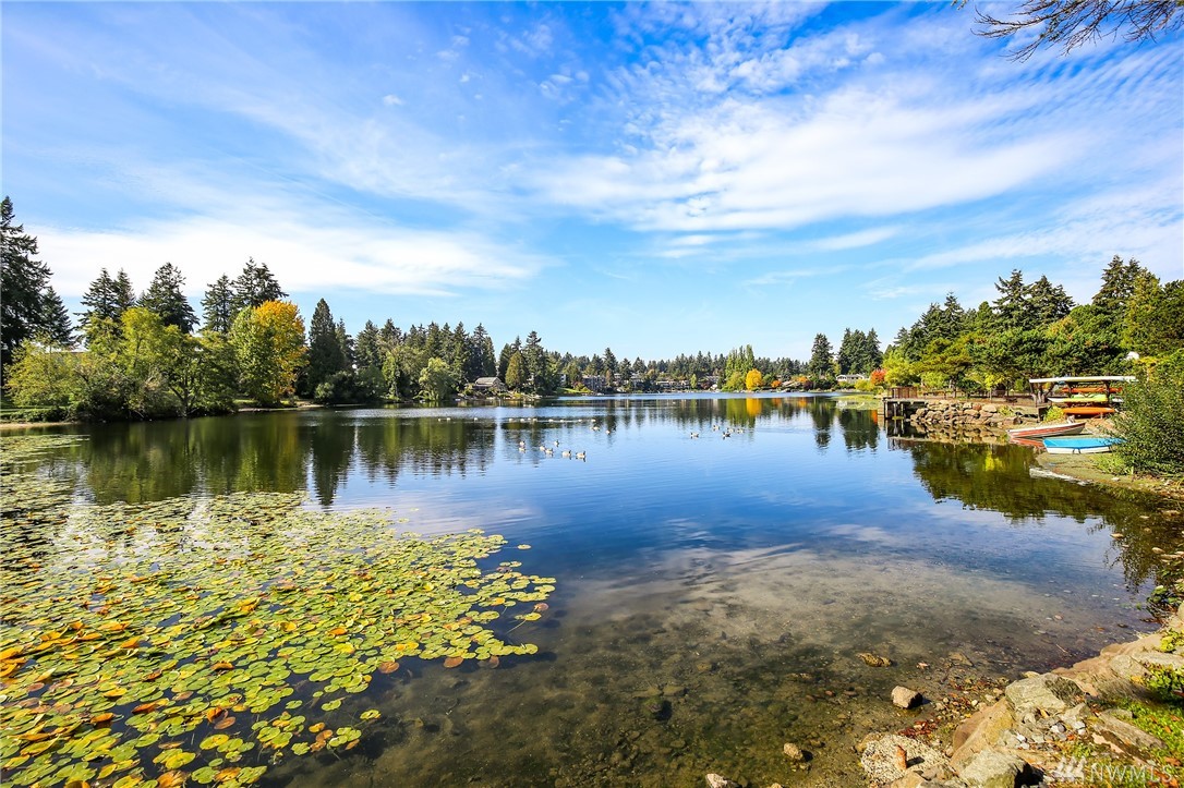 Condo Unit 409A at Bitter Lake Village Condo Seattle Sold NWMLS 1375293