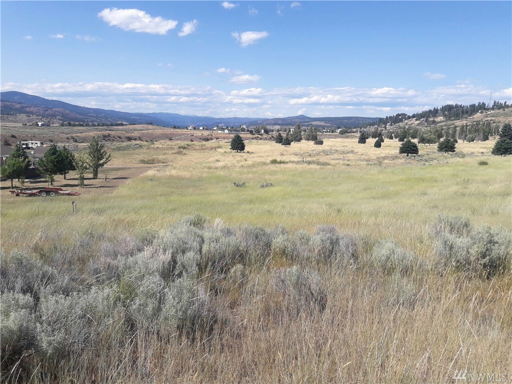 Deer Meadows Land For Sale in Deer Meadows WA —