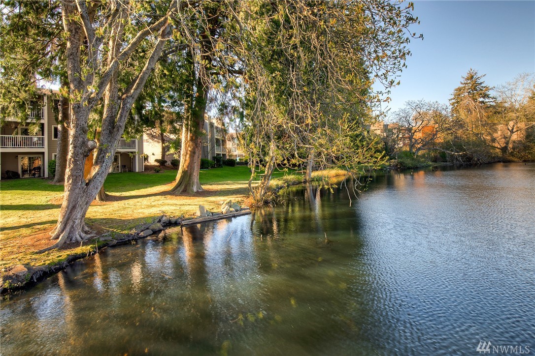 Echo Lake Waterfront Condo, Shoreline WA Condos & Homes For Sale