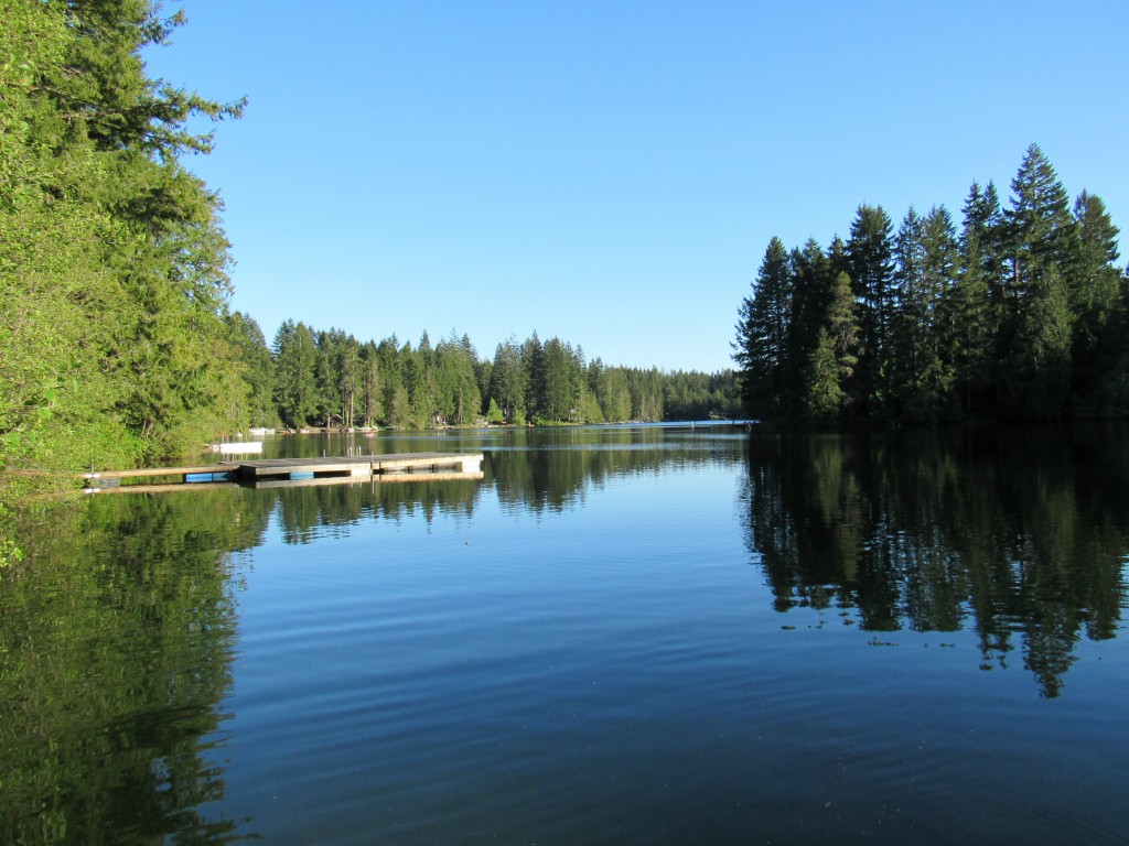 Home Sold 13959 Carney Lake Rd Port Orchard, WA NWMLS 770336