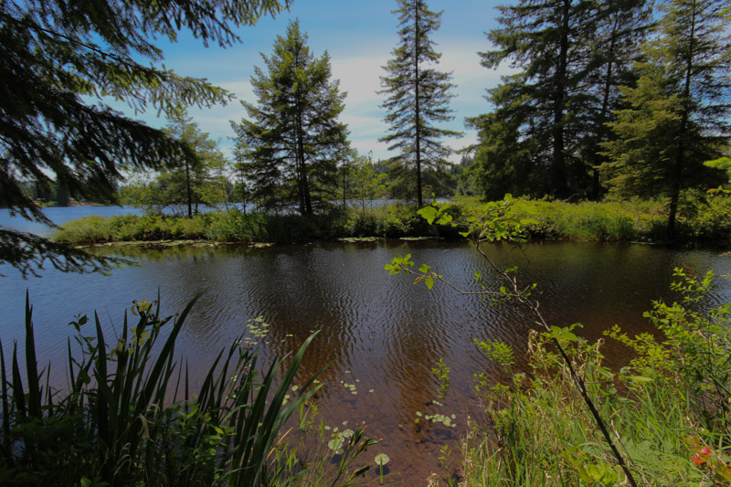 Photo 6 of 2192 W Star Lake Dr Elma WA 98541