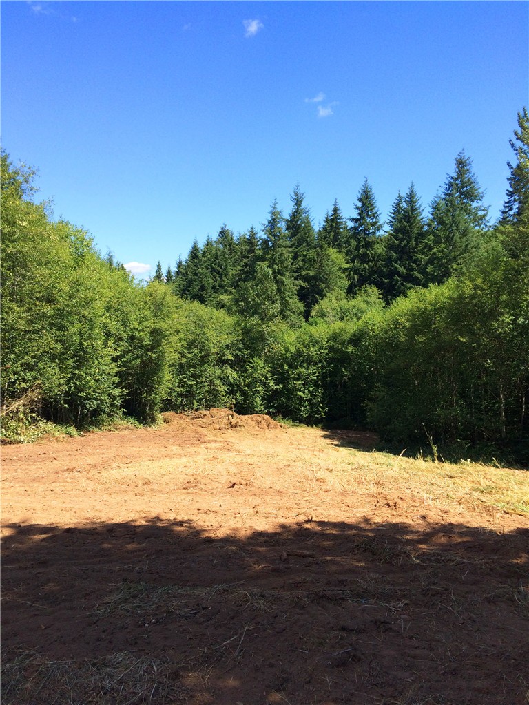 Si Town Rd Castle Rock, WA NWMLS 838339